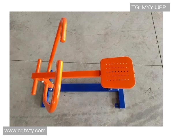 优质体育健身器材批发服务助力健康生活与运动热潮